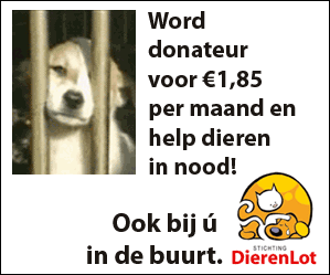 DierenlotBanner-DL-300x25011